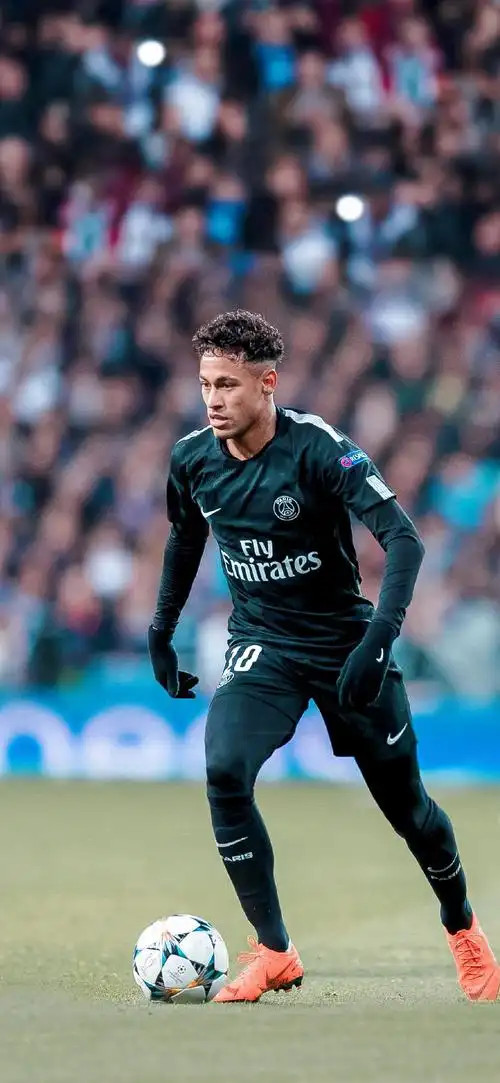 媒体上的活 媒体上的活